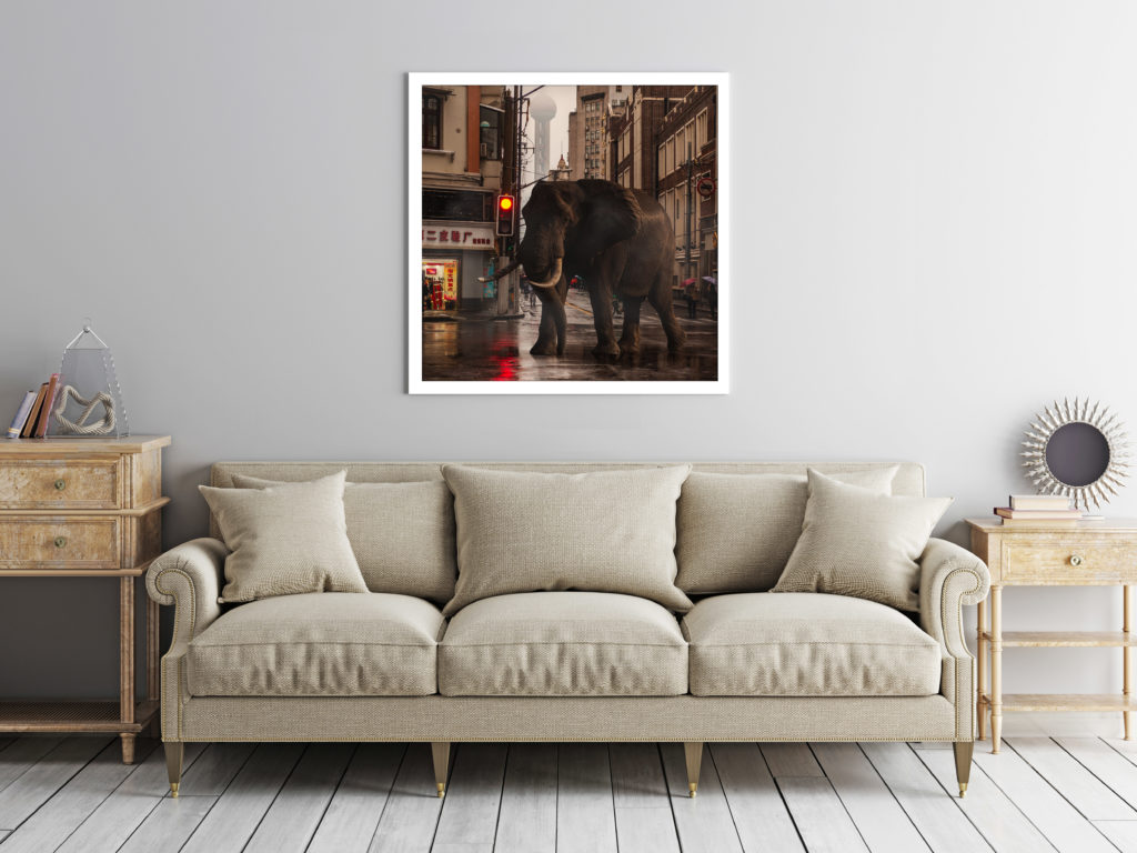 imagen de un sillon en un salon Obras Fotográficas Fineart